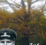 АРТИЛЛЕРИСТ - Вадский район