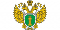 Об ответственности за совершение действий, направленных на разрушение или повреждение предприятий, сооружений, объектов транспортной инфраструктуры и транспортных средств. - Вадский муниципальный округ
