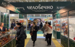 Бренд народных художественных промыслов Нижегородской области «Человечно» представили на выставке «Ладья. Весенняя фантазия – 2025»
