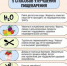 5 способов улучшения пищеварения - Вадский муниципальный округ