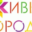 Всероссийский фестиваль «Мечтай и Созидай!» - Вадский муниципальный округ