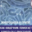 Как кишечник помогает бороться с простудой - Вадский муниципальный округ