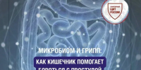 Как кишечник помогает бороться с простудой - Вадский муниципальный округ