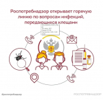 Всероссийская горячая линия по вопросам профилактики клещевого вирусного энцефалита